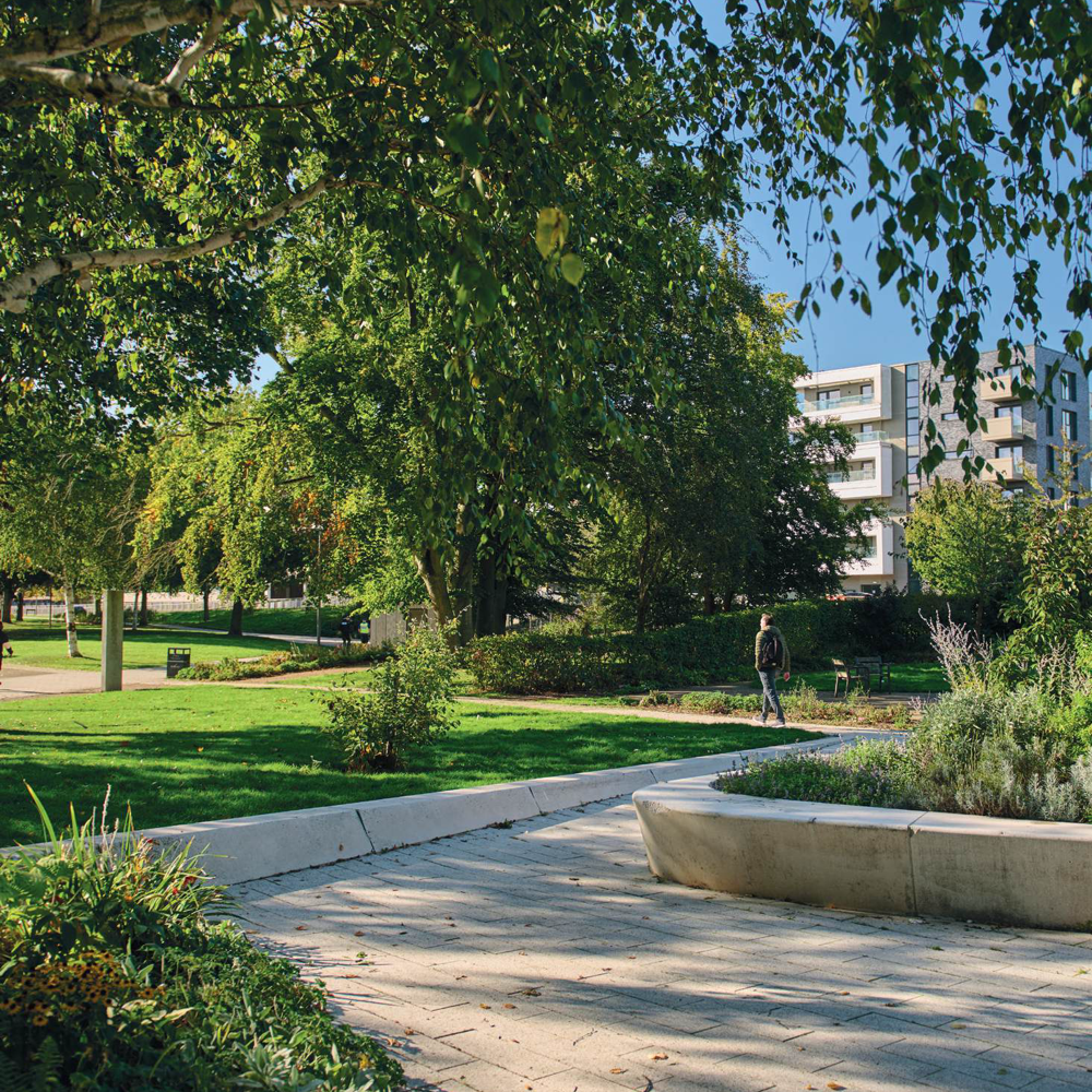 Local park